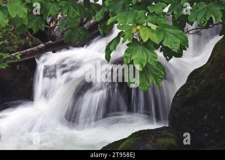 Bergbach, Frankreich, Savoie, Maurienne, Saint-Colomban-des-Villards Stockfoto