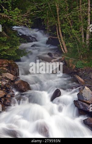 Bergbach, Frankreich, Savoie, Maurienne, Saint-Colomban-des-Villards Stockfoto