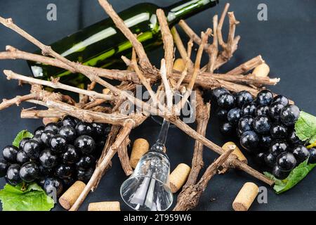 Weinflasche und Glas, schwarze Trauben und ein Haufen Stockfoto