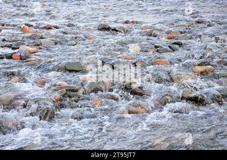 Kleine abgerundete Steine im schnellen Fluss eines kleinen Flusses, beleuchtet von der untergehenden Herbstsonne. Chulyshman River, Altai, Sibirien, Russland. Stockfoto