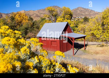 Red Scheune im Herbst - Golden History Park, Golden, Colorado, USA Stockfoto