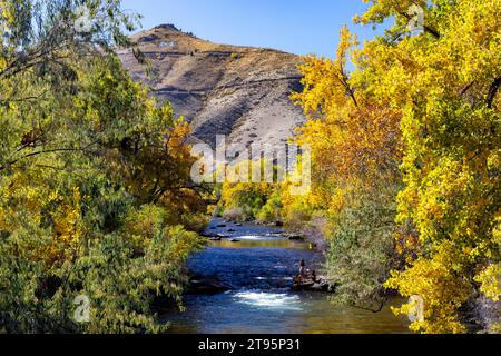 Leuchtende Herbstfarben am Clear Creek im Herbst – Golden, Colorado, USA Stockfoto