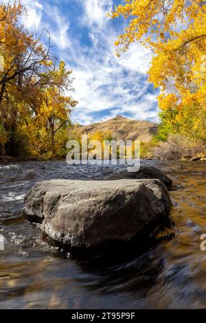 Leuchtende Herbstfarben am Clear Creek im Herbst – Golden, Colorado, USA Stockfoto