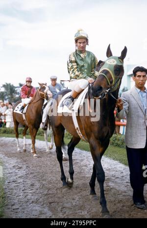 SANTA ANITA, CA - 21. Januar: Jockey Bill Shoemaker (1931-2003) Fahrten Tommy Lee vor einem Rennen im Santa Anita Race Track am 21. Januar 1959 in Santa Anita, Kalifornien. (Foto von Hy Peskin) *** Local Caption *** Bill Shoemaker Stockfoto