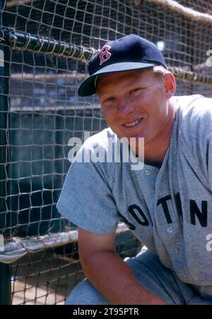 FL - MÄRZ 1956: Jackie Jensen #4 der Boston Red Sox posiert für ein Porträt neben dem Schlagkäfig vor einem Spring Training Spiel um März 1956 in Florida. (Foto von Hy Peskin) *** örtlicher Bildtitel *** Jackie Jensen Stockfoto