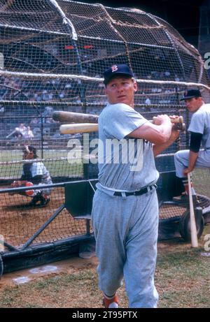 FL - MÄRZ 1956: Jackie Jensen #4 der Boston Red Sox macht einen Übungsschwung, bevor er im Batting Cage vor einem Spring Training Spiel um März 1956 in Florida anschlägt. (Foto von Hy Peskin) *** örtlicher Bildtitel *** Jackie Jensen Stockfoto