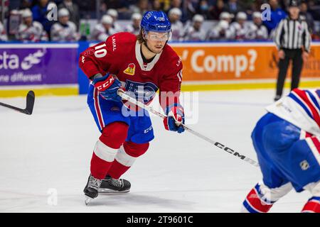 Rochester, New York, USA. November 2023. Laval Rocket Stürmer Joshua Roy (10) Skates in der ersten Periode gegen die Rochester Americans. Die Rochester Americans veranstalteten die Laval Rocket in einem Spiel der American Hockey League in der Blue Cross Arena in Rochester, New York. (Jonathan Tenca/CSM). Quelle: csm/Alamy Live News Stockfoto
