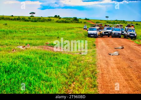 Maasai Mara, Kenia, 25. Dezember 2020 - Touristen auf Safari genießen eine Begegnung mit Geparden aus nächster Nähe im Maasai Mara Wildreservat in Kenia, Afrika Stockfoto