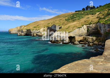 Die malerische, erodierte Küste des Tunnelstrandes an einem sonnigen Sommertag in der Nähe von dunedin auf der Südinsel neuseelands Stockfoto