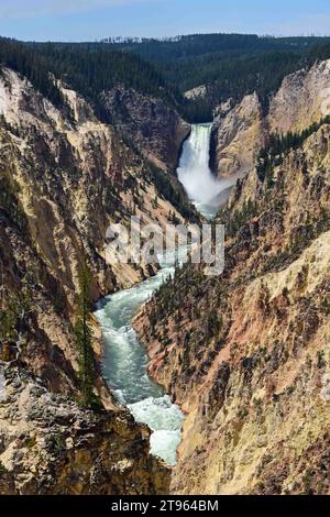 Lower yellowstone fällt in den Grand Canyon des yellowstone im yellowstone-Nationalpark, wyoming, ab Artist Point Stockfoto