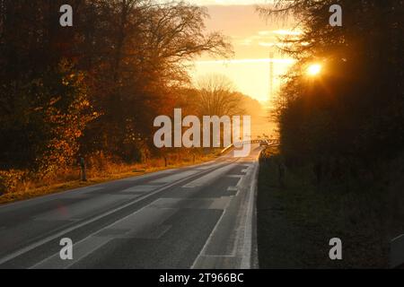 Blick am Mittwoch 22.11.2023 unweit der Klosterstadt Dargun Landkreis Mecklenburgische Seenplatte auf eine Landstraße im Sonnenaufgang mit einer Rinderherde auf einer Koppel am Straßenrand. *** Blick am Mittwoch 22 11 2023 unweit der Klosterstadt Dargun im Mecklenburgischen Seenland auf einer Landstraße bei Sonnenaufgang mit einer Rinderherde auf einem Fahrerlager am Straßenrand Credit: Imago/Alamy Live News Stockfoto