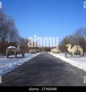 China, Peking: Umgebung: Ming-Gräber (Ming Shisan Ling), Allee der Steinstatuen (Sui Xiang Sheng Dao), im Schnee Stockfoto