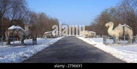China, Peking: Umgebung: Ming-Gräber (Ming Shisan Ling), Allee der Steinstatuen (Sui Xiang Sheng Dao), im Schnee Stockfoto
