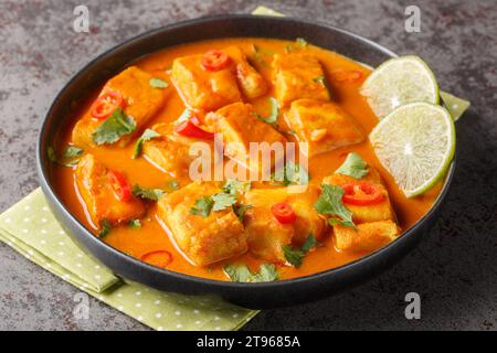 Köstliches Kokos-Tomaten-Fisch-Curry mit asiatischen Gewürzen und Chili-Pfeffer in Nahaufnahme auf einem Teller auf dem Tisch. Horizontal Stockfoto