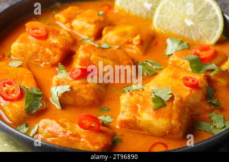 Traditionelles Sri-lankisches Fisch-Curry mit weißem Fisch, gefüllt mit asiatischen Gewürzen, auf einem Teller auf dem Tisch. Horizontal Stockfoto