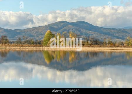 Überflutete Wiese nach starkem Regen. Herbstlandschaft. BAS-Rhin, Collectivite europeenne d'Alsace, Grand Est, Frankreich, Europa. Stockfoto