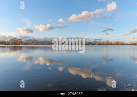 Wolkenlinie, die sich in einer überfluteten Wiese nach starken Regenfällen reflektiert. Herbstlandschaft. Bas-Rhin, Elsass, Grand Est, Frankreich, Europa. Stockfoto