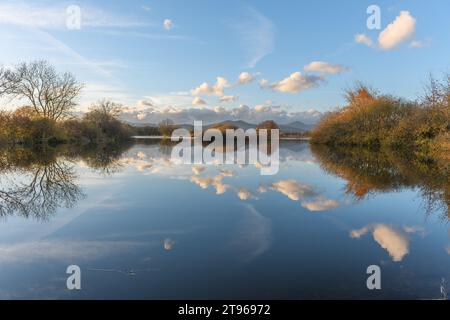 Wolkenlinie, die sich in einer überfluteten Wiese nach starken Regenfällen reflektiert. Herbstlandschaft. Bas-Rhin, Elsass, Grand Est, Frankreich, Europa. Stockfoto