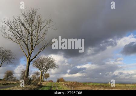 Dunkle Wolken, die über einen Wiesenweg in einer herbstlichen Landschaft schweben, Weitwinkelaufnahme, Kopierraum Stockfoto