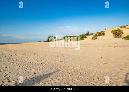 Malerischer Blick auf Shela Beach bei Sonnenaufgang in Lamu Isand, Kenia Stockfoto