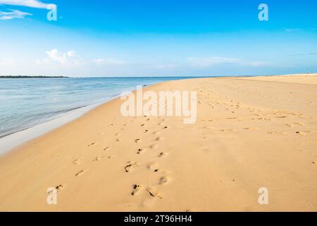 Malerischer Blick auf Shela Beach bei Sonnenaufgang in Lamu Isand, Kenia Stockfoto