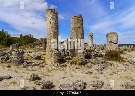 Blick auf die Felsformationen Pobitite Kamani (Steinwald) im Osten Bulgariens Stockfoto