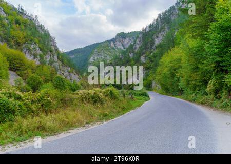 Blick auf eine Straße und Landschaft entlang des Flusses Trigradska, im Rhodopen-Gebirge, Südbulgarien Stockfoto