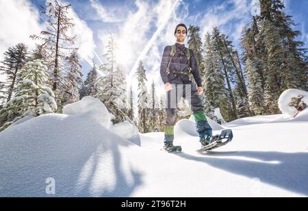Niedriger Winkel voller Körper von jungen Männern in warmer Kleidung und Sonnenbrille Trekking mit Schneeschuhen auf verschneiten Waldgelände mit Mammutbäumen in Yosemite California Stockfoto