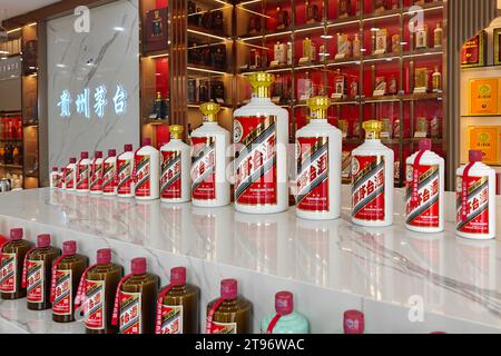 SHANGHAI, CHINA - 23. NOVEMBER 2023 - Moutai Liköre im Kweichow Moutai Experience Museum in Shanghai, China, 23. November 2023. Stockfoto