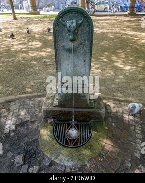 TURIN, ITALIEN, 11. APRIL 2023 - Ein typischer Brunnen mit dem Stier, Symbol der Stadt Turin, Italien Stockfoto