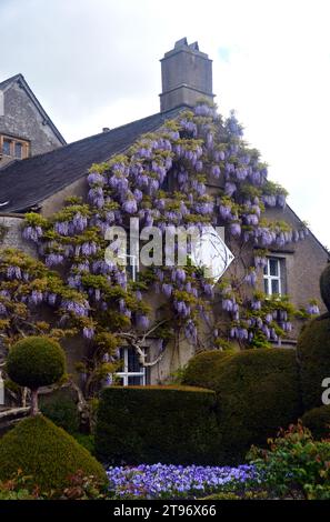 Die Wisteria bedeckten Wände um die Sonnenuhr in Levens Hall & Gardens, Kendal, Lake District National Park, Cumbria, England, Großbritannien. Stockfoto