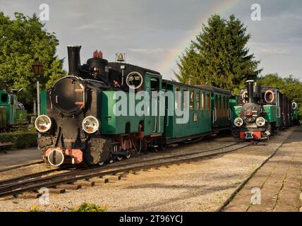 Schmalspurdampflokomotiven im Museum in Wenecja bei Biskupin, Kujawsko-Pomorskie, Polen Stockfoto