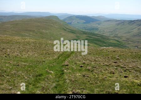 Man wandert auf dem Weg zum Gipfel des Outlying Wainwright Robin Hood von High House Bank, Lake District National Park, Cumbria, England. UK. Stockfoto