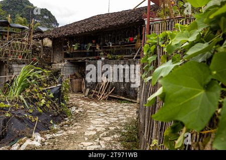 Alte Bauernhäuser in Ban Gioc in Vietnam Stockfoto