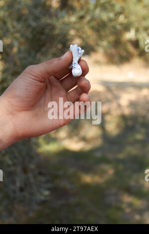 Hand, Paket und Drogen im Freien im Wald für Kokain, Erholung oder ungesunde Gewohnheit mit Paket. Person, Pulver oder Papier in der Hand mit Pharmazie Stockfoto