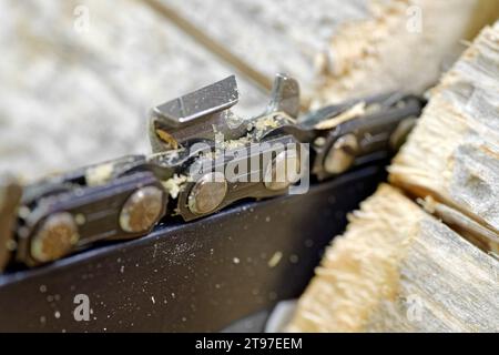 Сhain Sägen und Sägen von Baumstämmen, Holzarbeiten Stillleben Stockfoto