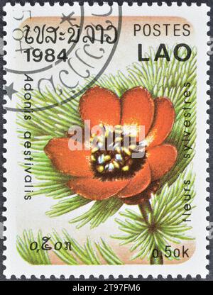 Gestempelte Briefmarke, gedruckt von Laos, auf der Adonis aestivalis Blume, ca. 1984. Stockfoto