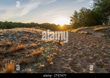 Deutschland, Hamburg, Boberger Dunes bei Sonnenaufgang Stockfoto