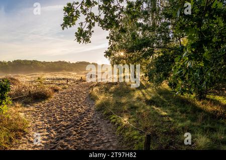 Deutschland, Hamburg, Boberger Dunes bei Sonnenaufgang Stockfoto