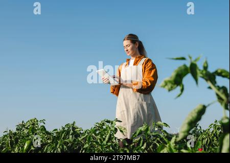 Landwirt mit Tablet-PC unter blauem Himmel Stockfoto