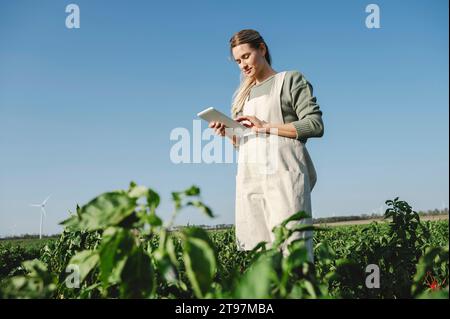 Landwirt, der einen Tablet-PC verwendet und unter dem Himmel auf dem Feld steht Stockfoto
