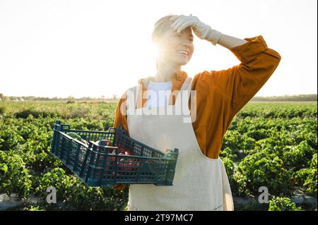 Glücklicher Bauer, der bei Sonnenuntergang eine Kiste Paprika vor Pflanzen hält Stockfoto