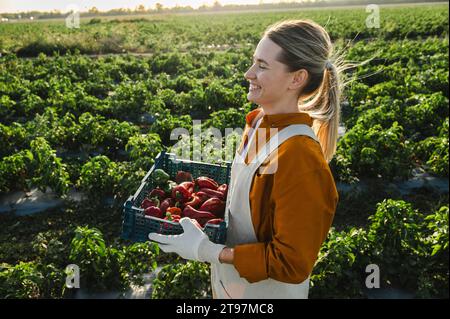 Glücklicher Bauer mit einer Kiste roter Paprika an sonnigen Tagen Stockfoto