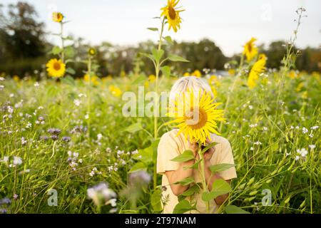 Junge, der Gesicht mit Sonnenblume auf dem Feld versteckt Stockfoto