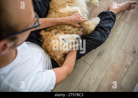 Mann streichelt goldenen Retriever-Hund auf Hartholzboden Stockfoto