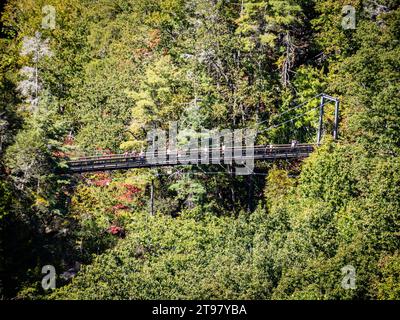 Tallulah Gorge and Bridge, Tallulah Falls, Georgia, USA Stockfoto