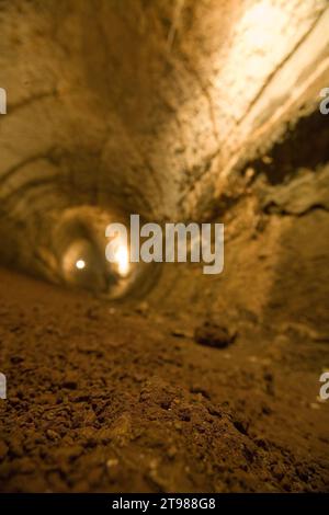 Lavatunnel auf der Insel Santa Cruz im Galapagos-Archipel, Ecuador Stockfoto