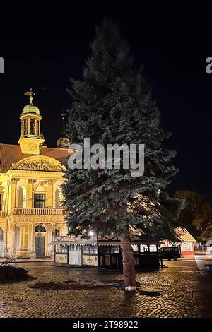 Weihnachtsbaum für den diesjährigen Weihnachtsmarkt steht jetzt auf dem Alten Markt vor dem Rathaus. Weihnachtsbaum für Magdeburger Weihnachtsmarkt gefallen. Für jeden Ihrer drei Kinder wurde bei Familie Parnitzke aus Magdeburg ein Baum gepflanzt. Doch nachdem sich das Wurzelwerk einer Fichte stark ausgeweitet hat, wechselt der Baum seinen Standort und schmückt in diesem Jahr den Magdeburger Weihnachtsmarkt. Am Montag wurde der 16 Meter hohe Baum im Stadtteil Hopfengarten gefallen. *** Weihnachtsbaum für dieses Jahr steht nun der Weihnachtsmarkt auf dem Alten Markt vor dem Rathaus Christma Stockfoto