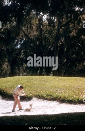 HAVANNA, KUBA - FEBRUAR 1956: Ein nicht identifizierter Golfer versucht, seinen Ball aus dem Sand zu schlagen, während eines Golfturniers um den Februar 1956 in Havanna, Kuba. (Foto: Hy Peskin) Stockfoto