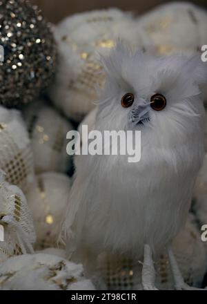 Eine kleine weiße flauschige Eule mit großen runden Augen, die in einer Kiste mit Weihnachtskugeln sitzt. Weihnachtsdekoration. Stockfoto